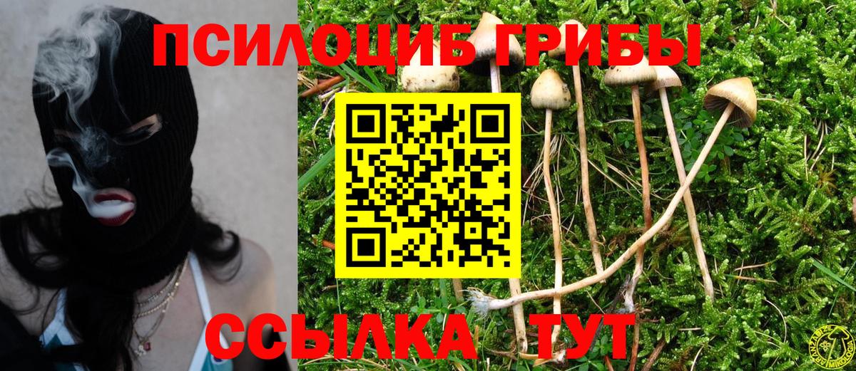 Псилоцибиновые грибы Cubensis  Вход с VPN  Лянтор 